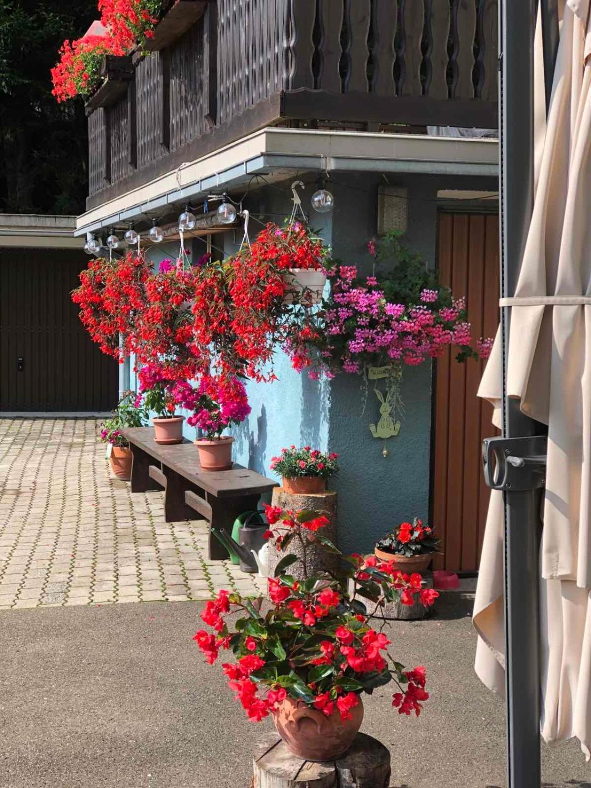 Haus-Erzberg Vordernberg Exterior foto