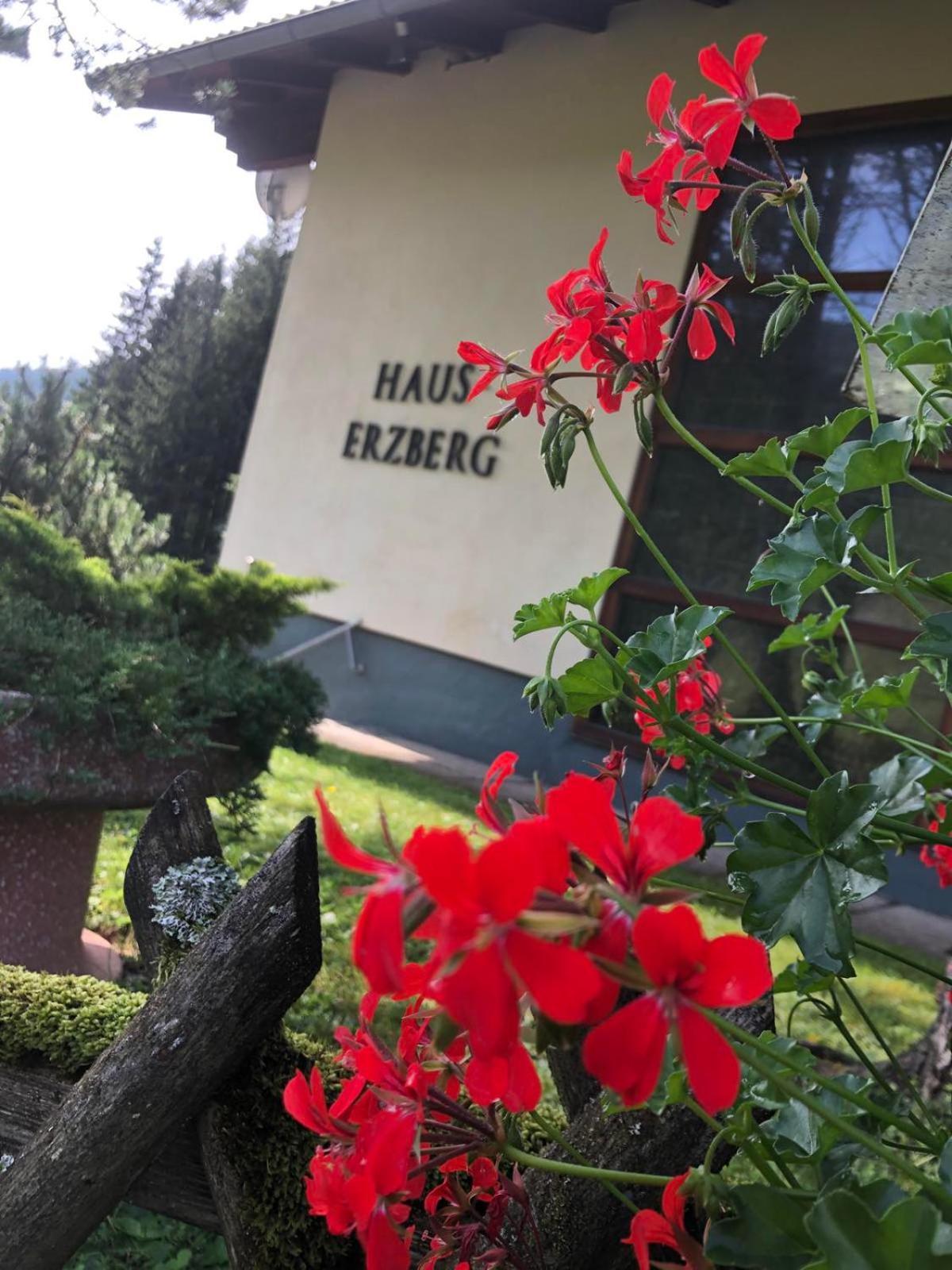 Haus-Erzberg Vordernberg Exterior foto